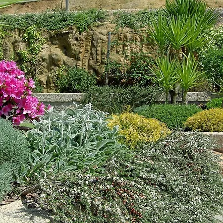 مزرعة للإقامة Casa De Cima De Vila
